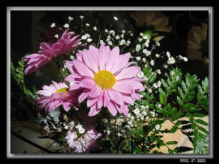 beautiful flowers - art photo, nature, pink flowers, beautiful