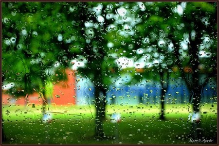 rain on the window - art photo, rain, nice, window, nature