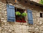 Blue shutters with flowers