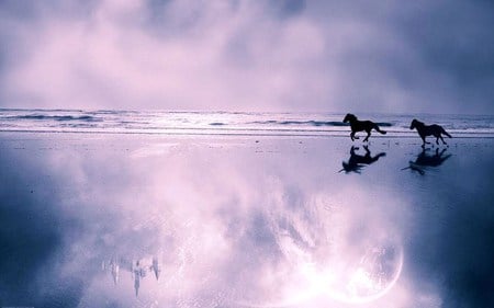 Galloping reflections - reflections, ice, horses, two, galloping, blue cloudy sky