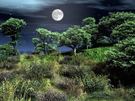 MOONLIT NATURE