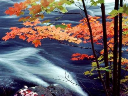 autumn river - water, autumn, leafs, river