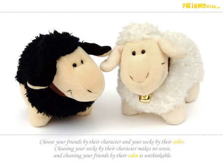 Friendship - black, white, sheep, bond, friendship