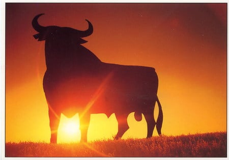 Osborne Bull At Sunset - sunset, osborne, spain, image, bull