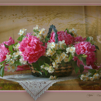 still life
