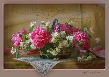 still life - beautiful, photography, photo, cool, flower, pink, still life, bouquet, flowers, basket, peony, white, soft, nice, gently