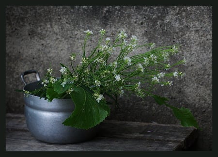 wild flowers - nature, wild flowers, art photo, still life, vase