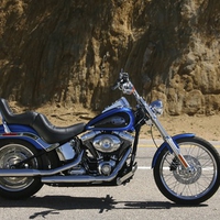 Harley in Blue