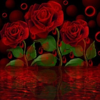 BLEEDING  ROSES