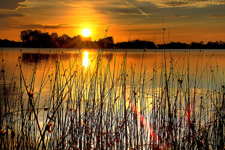 Sunrise - amazing, water, sunrise, beauty