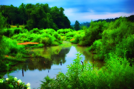 Peaceful place - river, quiet, peaceful, green