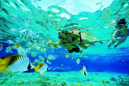 Underwater World - people, blue, amazing, photography, ocean, wonder, world, underwater, fish