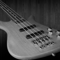 B&W BASS