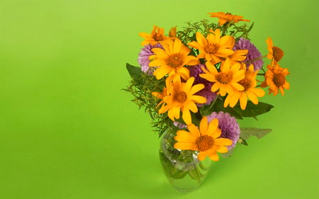 Bunch - bunch, orange, green, flower