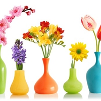 Colorful Flowers Vases