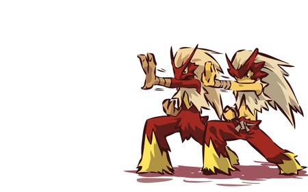 blaziken and his trainer - blaziken, trainer, and, his