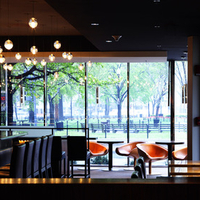 Cafe with a view