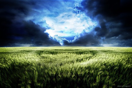 storm - storm, field, dark, sky