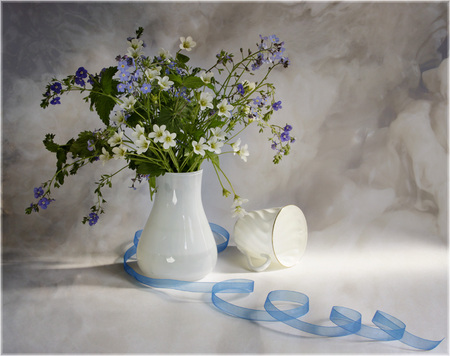 White And Blue - nature, art, flowers, photo, still life, vase