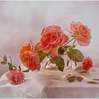 still life