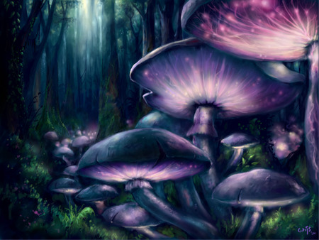 Living Mushrooms - mushrooms, abstract, fantasy