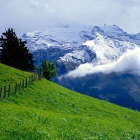green over clouds