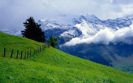 green over clouds - clouds