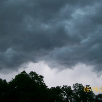 Dark clouds tracing the tree line