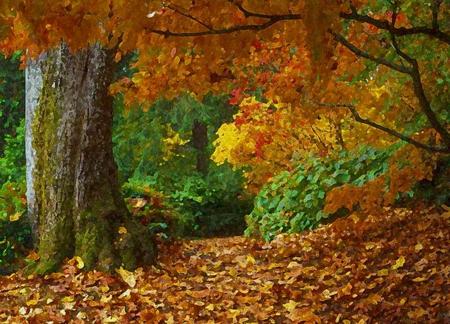 autumn colours - art, nature, tree, colourfull