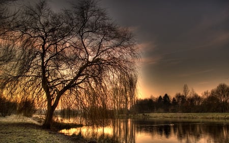 Sunday Morning at the River - morning, sunday morning, river, water, rising sun, tree