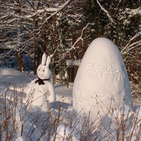 Snowy Eastern
