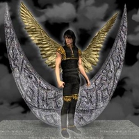 Gold Wings