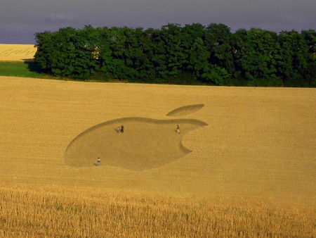 Field Apple - laptop, computer, technology, field, apple