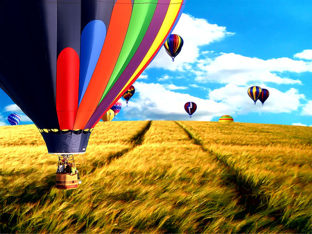 March of the Balloons - widescreen, hot air balloon, hot air balloons, nature, balloons, grass, paths