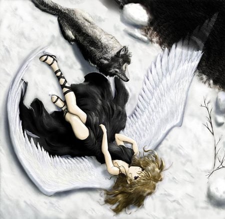 Wolves - laying, wings, snow, wolvs, fallen