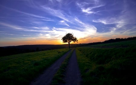 Sunset Throw a Tree - hills, blue, fields, rolling, beautiful, road, tree, sunset, nature, twilight, cloud, sky, rural, formations