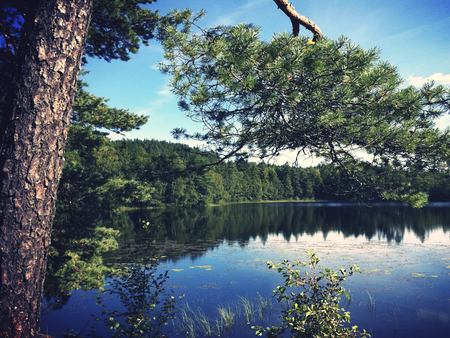 A LITTLE LAKE SOMEWHERE - nestled, lake, beautiful, someswhere