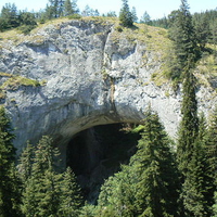 Wonderful bridge, Rodopi