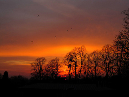 Ghostwitch Sunset - sky, silhouette, trees, beautiful, clouds, sunset, birds