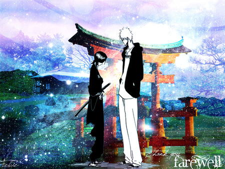 Farewell - felcie, rukia, rukia kuchiki, bleach, ichigo kurosaki, ichigo, farewell