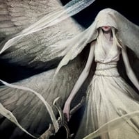 WHITE VEILED ANGEL