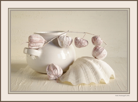 ZEN in white - abstract, art photo, still life, white vase, white mushroom