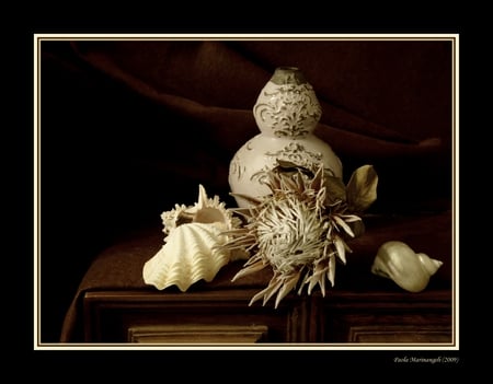 still life 1 - abstract, art photo, pots, shells, composition