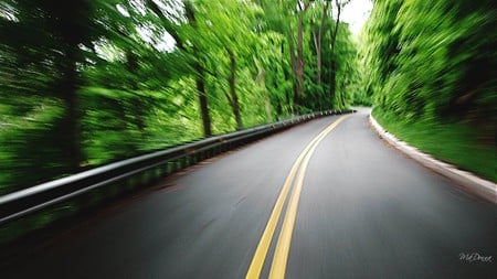 The Fast Lane - street, trees, cars, curb, moving, yellow lines, road, firefox persona