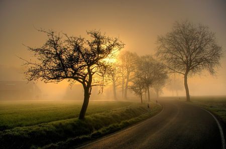 Sunset - relax, nice view, beauty, sunrise, tree, dawn, sunset, nature, nice