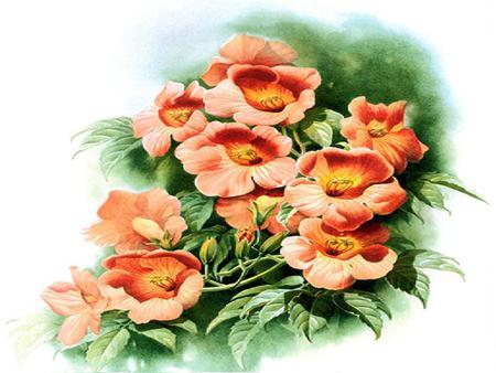 Nice Summer - painting, hibiscus, pretty, leaves, flower