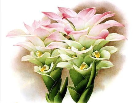 Tropical Delight - white, painting, yellow, pink, green, leaves, flowers