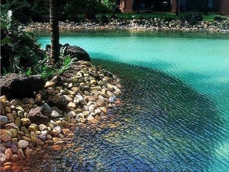 Aqua flow - river, bend, trees, shore, ripples, light, rocks, crystal clear