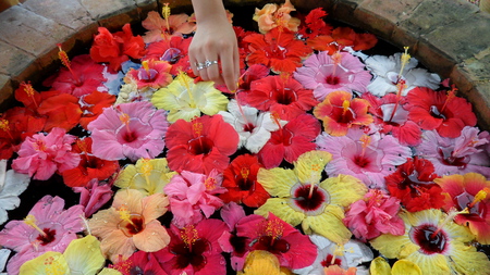 My Wishing Well - flowers, colors, hand, well