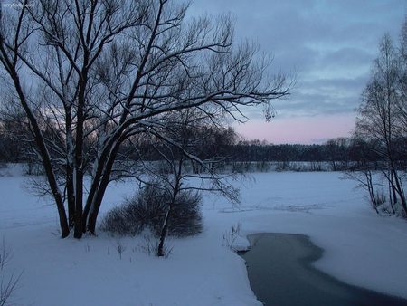 Winter - winter, nature, ice, snow